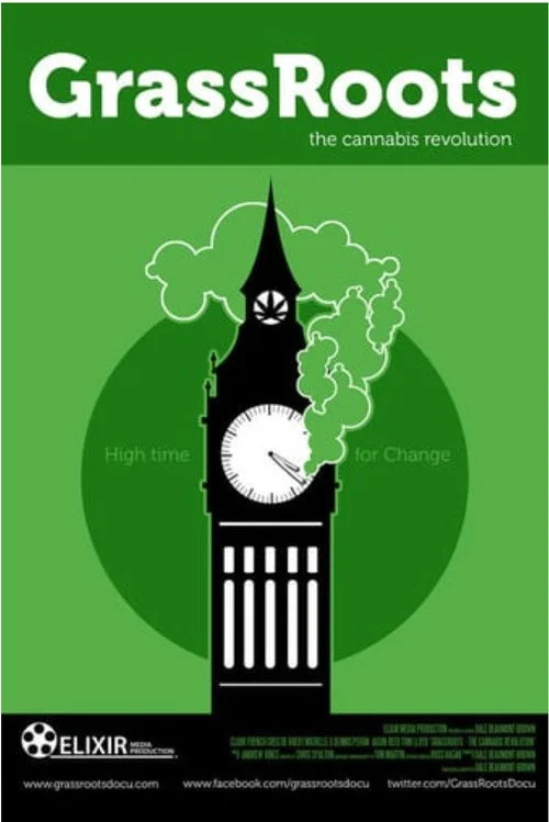 Download Cannabis (2016) Season 1 Hindi Complete MX Original WEB Series 480p | 720p HDRip 22 cannabis 2016