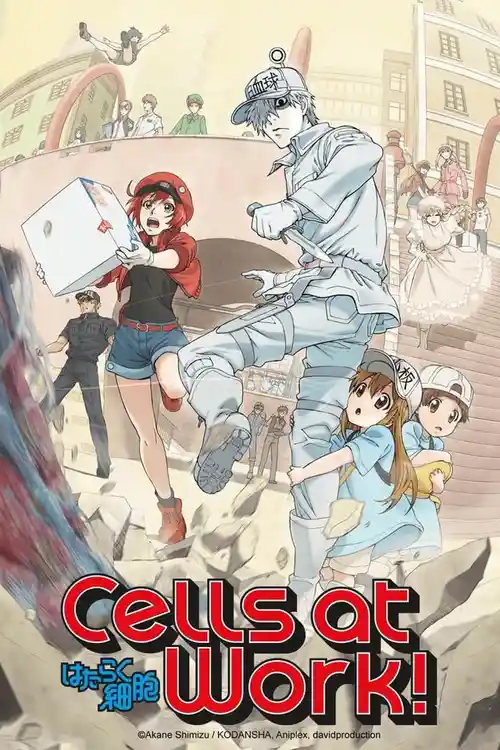 Download Cells at Work! (Season 1) Multi Audio {Hindi English Japanese} Anime Series 480p 720p & 1080p Blu Ray 22 cells at work season 1