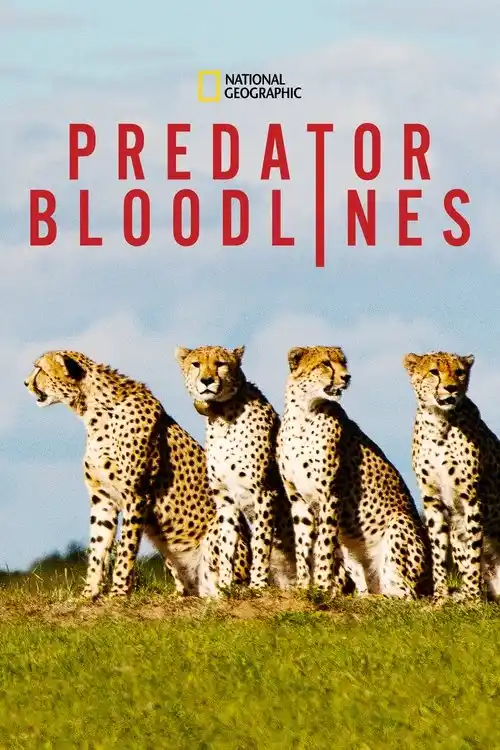 Download Predator Bloodlines (2021) Season 1 Hindi Complete DSNP WEB Series 480p | 720p HDRip 23 predator bloodlines 2021