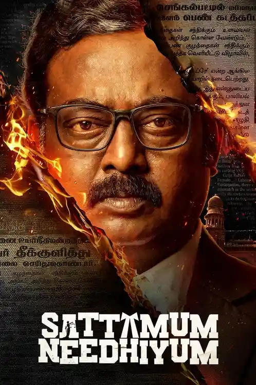 Download Sattamum Needhiyum (Season 1) Hindi Complete Zee5 Web Series 480p | 720p | 1080p WEB DL 4 sattamum needhiyum season 1