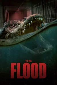the flood 2023