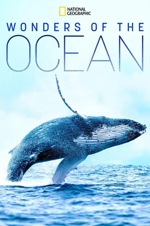 Download Wonders of the Ocean (2021) Season 1 Hindi Complete DSNP WEB Series 480p | 720p HDRip 21 wonders of the ocean 2021